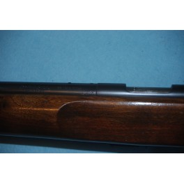 Remington 513 T civile